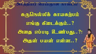 மெய்ஞானம்.6-கருநெல்லிக் கற்பம் எப்படி உண்பது அதன் பயன் என்ன?