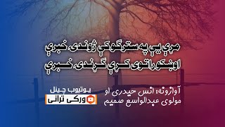 مړې یې په سترګو کې ژوندۍ خبرې اوښکو راتوی کړې ګړندۍ خبرې/ آوازونه: انس حیدري او مولوي عبدالواسع صمیم