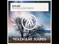 reason u0026 sentiment extended mix