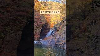 #주말에가볼만한곳 #인제여행 #용소폭포 #하트폭포 #강원도가볼만한곳