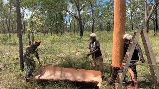 Sebastian Thingle, Roy Natalima, and Walter Rogers extracting the bark at Ngukurr Arts