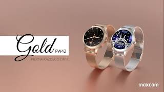 Smartwatch FW42 Gold / Silver