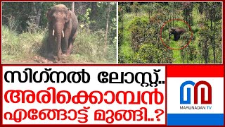 സിഗ്നല്‍ ഇല്ല..അരിക്കൊമ്പനെ കാണാനില്ല  | arikomban