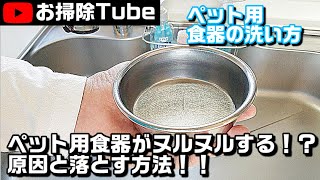 【食器洗浄】ペット用食器がヌルヌルする原因と落とし方！