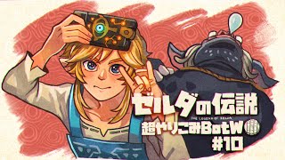 どうしても自撮りがしたい主夫｜すべてを越えた超やりこみBotW #10