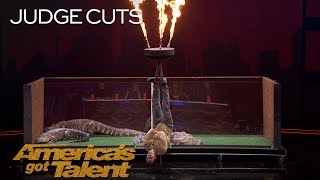 Lord Nil Nearly Eaten Alive By Alligators In Dangerous Stunt - America's Got Talent 2018