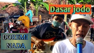 Dasar Jodo - Doremi nada || edisi mupul beas 🎤🎼🎹🎶