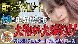 【舞洲シーサイドプロムナード】大爆釣!!青物も回遊する大阪の海釣り公園の本気!!第25話「プロムナードで釣りまくロード」