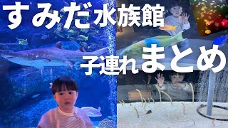 【子連れお出かけ】1歳8か月と行くすみだ水族館のまわり方