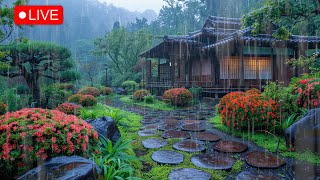 The sound of rain in the courtyard is soothing 🌧️ The Best Rain Sound for sleep, Good bye Insomnia