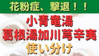 鼻水、鼻づまり、花粉症に効果的な漢方薬！小青竜湯と葛根湯加川芎辛夷の違いや使い分けを解説！！