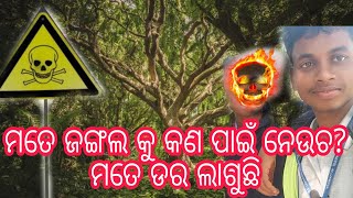 ମତେ ଜଙ୍ଗଲ କୁ କଣ ପାଇଁ ନେଉଛ 🤔? ମତେ ଡର ଲାଗୁଛି 😔Mate jangal ku kn pan e Neuchha