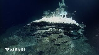 Pescadero Basin: Deepest hydrothermal vents in the Gulf of California