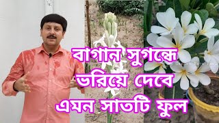 ছাদ বা আঙিনা বাগান সুবাসে ভরিয়ে রাখতে এই সাতটি ফুল গাছ  অবশ্যই রাখুন || My Garden Raju Paul