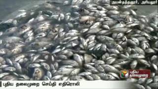 Impact of Puthiyathalaimurai's Report: Spoiled Lake Cleared in Ariyalur