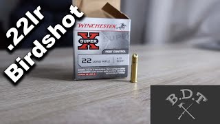 .22lr Birdshot