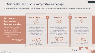 SC21 Panel: HPC’s Growing Sustainability Challenges and Emerging Approaches