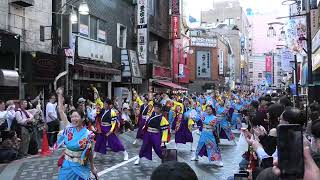 七福よさこい連 祝禧　東京よさこい 2024 本祭　四商店街