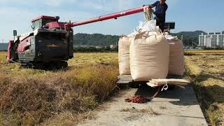 6조 '콤바인'으로 혼자서 벼베기-Harvesting Rice Alone in Korea