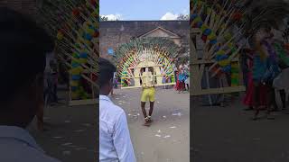 Thanjavur putru shyamala devi amman kovil #palkudam