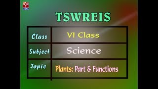 TSWREIS || Science - Plants - Parts \u0026 Functions || Live With Super Student \u0026 Team