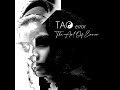 tao 03