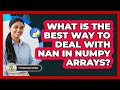 What Is The Best Way To Deal With NaN In NumPy Arrays? - Python Code School
