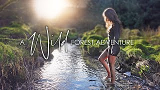 2 Nights Alone in the Wild • An Unplanned Forest Adventure - The Last of Winter