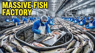 How Fish Are Processed in Modern Factories | Fish Processing Plant