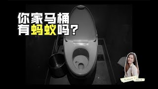 你家马桶有蚂蚁吗？ | Reinise 瑞妮丝