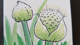 絵手紙始めました　48 ネギ坊主　picture letter 48 Allium fistulosum