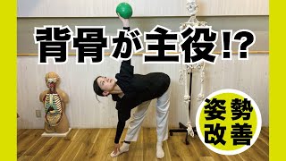 姿勢改善 | 背骨と股関節をコントロール