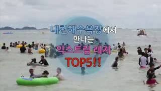 보령시 | 대천해수욕장 레저 TOP5