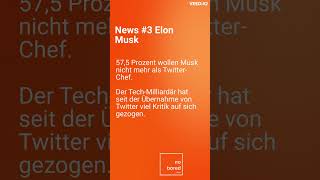 Elon Musk Twitter Umfrage