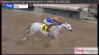 Pegasus World Cup Invitational 2025