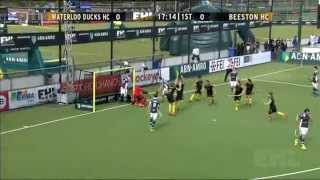 EHL KO 16 2014: Waterloo Ducks HC - Beeston HC