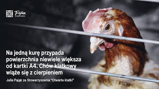 Julia Pająk: chów klatkowy nieoderwalnie wiąże się z cierpieniem