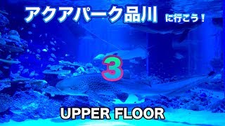 アクアパーク品川に行こう！3（UPPER FLOOR）