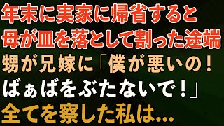 【スカッとする話】年末に実家に帰省し、母が皿を落として割った途端甥が兄嫁に「僕が悪いの！ばぁばをぶたないで！」全てを察した私は   【感動する話】