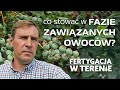 Co stosować w fazie zawiązanych owoców? - Fertygacja w terenie Marcin Gutkowski