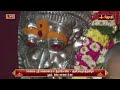 நெல்லை ஸ்ரீ நெல்லையப்பர் கோயில் பூதம் சிம்ம வாகன உலா tirunelveli jothitv