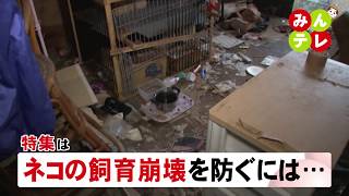 4月2日(木)みんテレ特集は「ネコの飼育崩壊を防ぐには…」