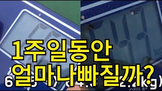 다단계 1등 다이어트 허벌라이프 ! 일주일동안 얼마나 빠질까?