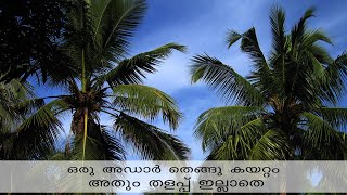 തെങ്ങിൽ  തളപ് ഇല്ലാതെ കയറി തേങ്ങ ഇടാൻ ഇത്ര സിമ്പിൾ ആയിരുന്നോ