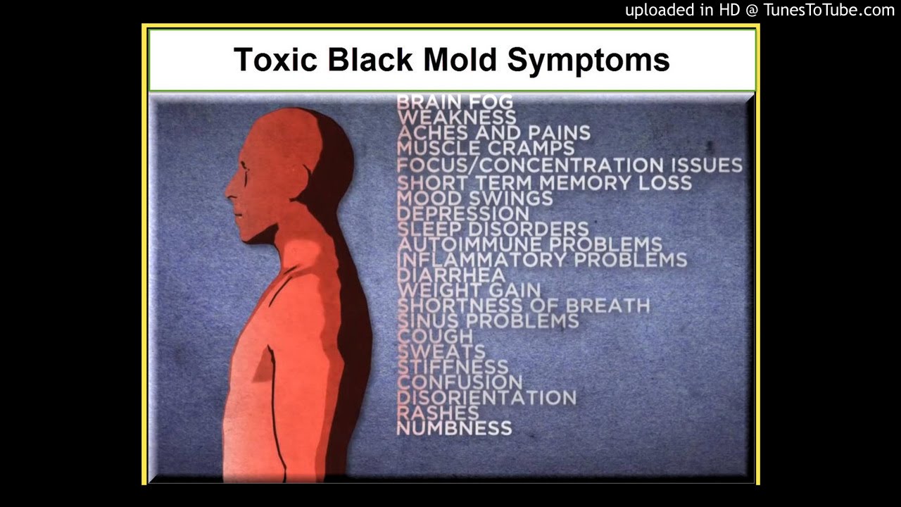 Mold Sickness Symptoms