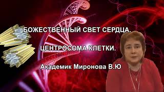 БОЖЕСТВЕННЫЙ СВЕТ СЕРДЦА. ЦЕНТРОСОМА КЛЕТКИ. Академик В.Ю Миронова