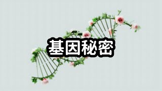 表觀遺傳學：研究環境對基因表現的影響 #科普