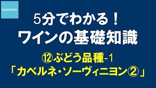 5分でわかる！​ワインの基礎知識​ ⑫ぶどう品種-1 カベルネ・ソーヴィニヨン② 7分24秒 サントリー