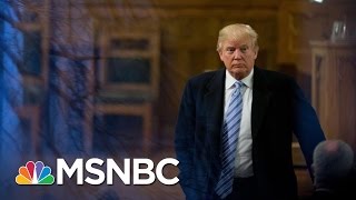Donald Trump: 'I've Been In Politics All My Life' | MSNBC
