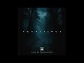 Void Of Transience // Transience